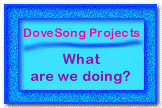 Go to the Projects Page